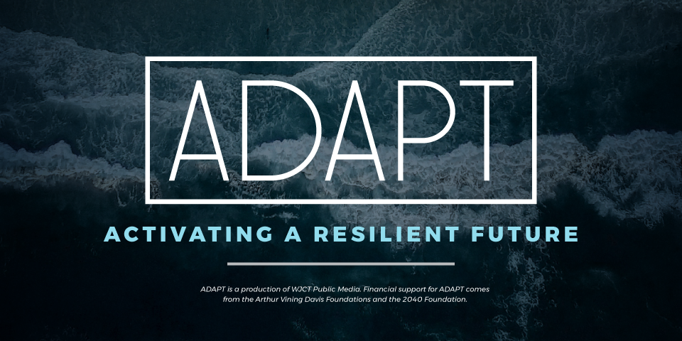 ADAPT: Activating a Resilient Future