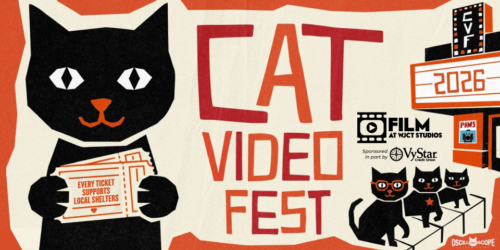 Promotional image for Cat Video Fest featuring a central black cat holding tickets, with the event title "CAT VIDEO FEST" in bold orange. Background in orange and cream, with smaller black cat silhouettes and sponsorship logos.