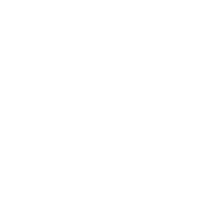Sticker Dicks Garage